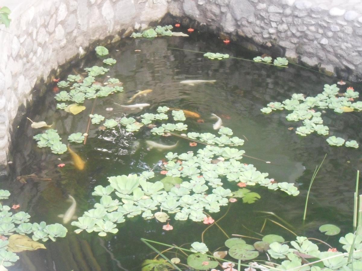 Garden Roomz Oman Maskat Exteriér fotografie
