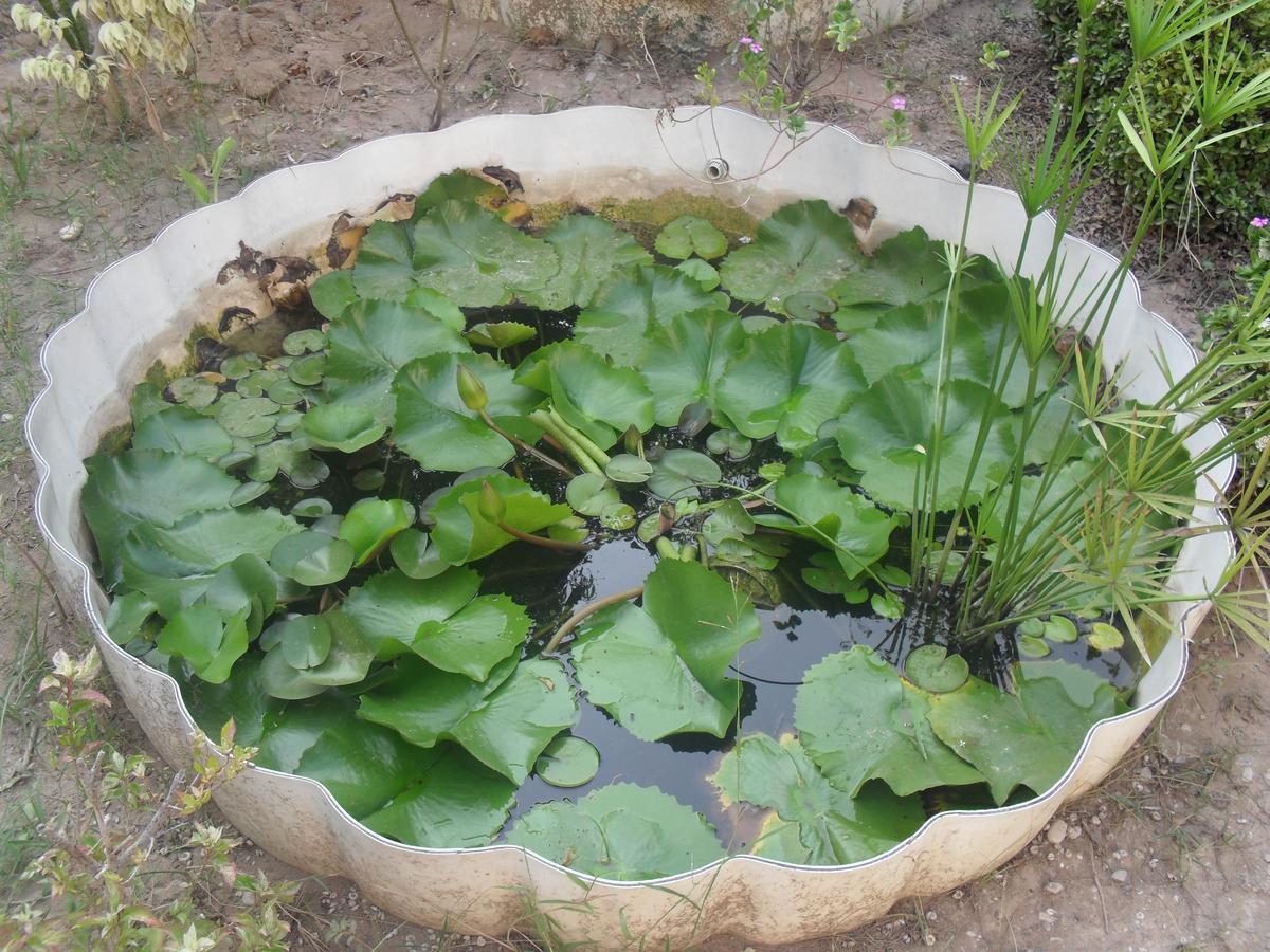 Garden Roomz Oman Maskat Exteriér fotografie