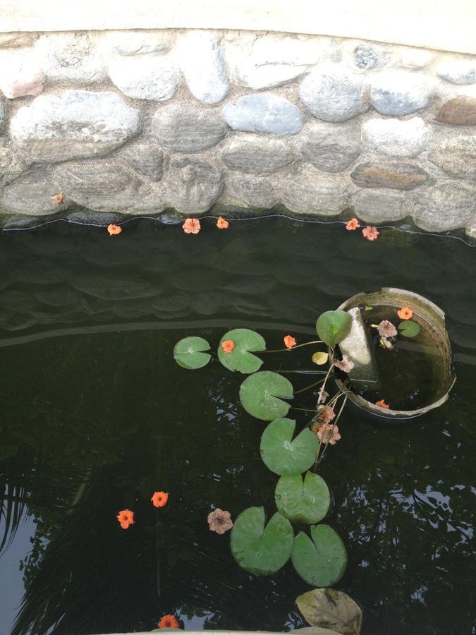 Garden Roomz Oman Maskat Exteriér fotografie