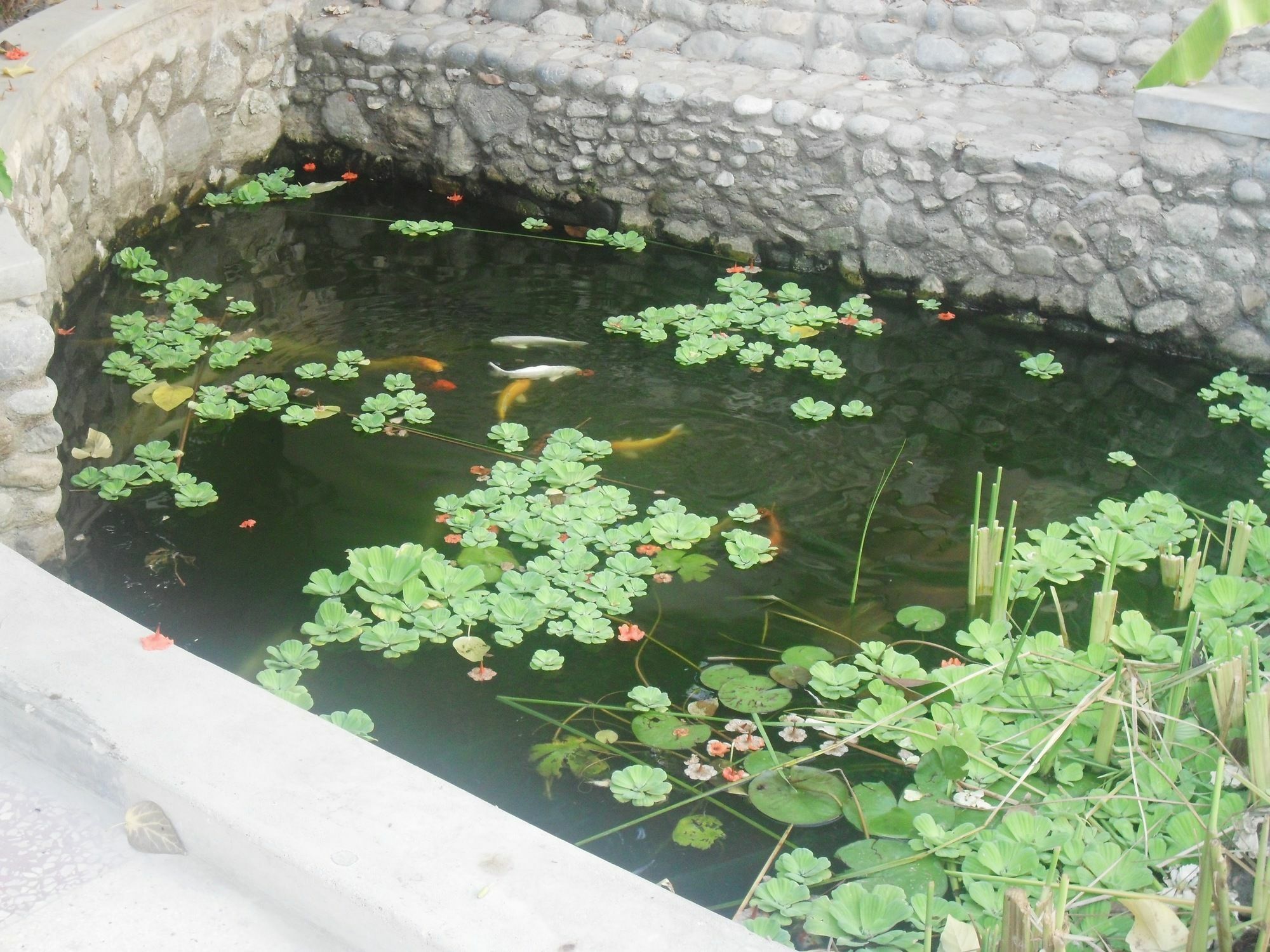Garden Roomz Oman Maskat Exteriér fotografie